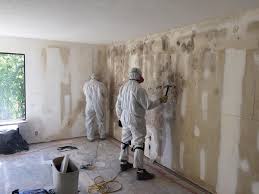 Mold Remediation for Vacation Homes in Mountain Lodge Park, NY